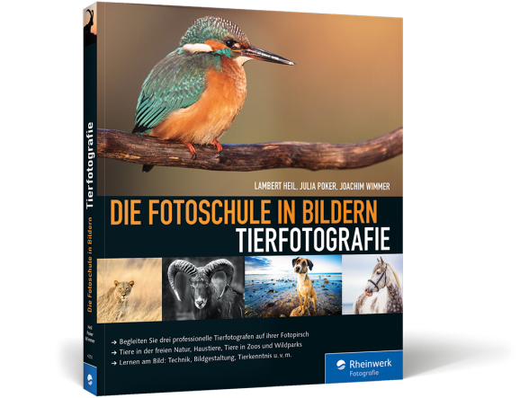 Tierfotografie. Die Fotoschule in Bildern – Buch aus dem Rheinwerk-Verlag